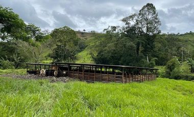 hacienda ganadera de venta en chone mongoya Y/T