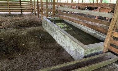 hacienda ganadera de venta en chone mongoya Y/T