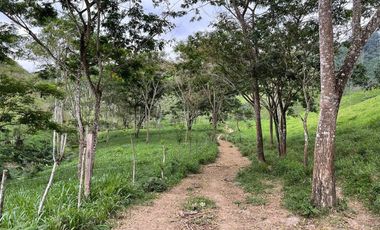 hacienda ganadera de venta en chone mongoya Y/T