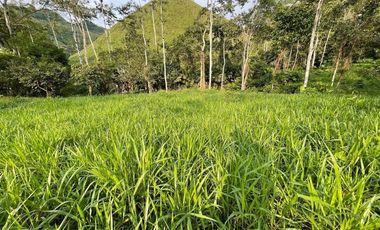 hacienda ganadera de venta en chone mongoya Y/T