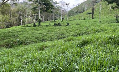 hacienda ganadera de venta en chone mongoya Y/T