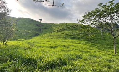hacienda ganadera de venta en chone mongoya Y/T