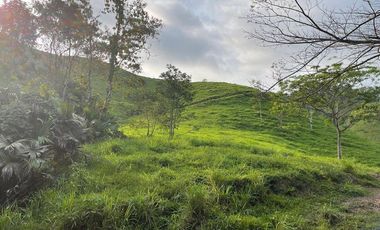 hacienda ganadera de venta en chone mongoya Y/T