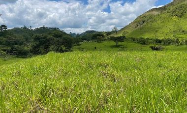 hacienda ganadera de venta en chone mongoya Y/T