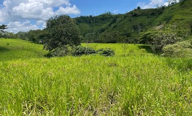 hacienda ganadera de venta en chone mongoya Y/T