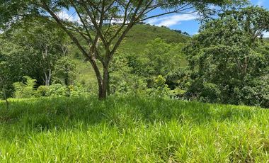 hacienda ganadera de venta en chone mongoya Y/T
