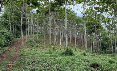 VENTA HERMOSA FINCA SECTOR LA CONCORDIA