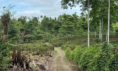 VENTA HERMOSA FINCA SECTOR LA CONCORDIA