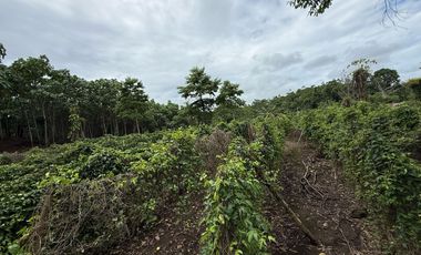 VENTA HERMOSA FINCA SECTOR LA CONCORDIA