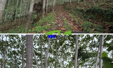 VENTA HERMOSA FINCA SECTOR LA CONCORDIA