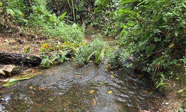 VENTA HERMOSA FINCA SECTOR LA CONCORDIA