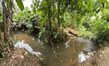 VENTA HERMOSA FINCA SECTOR LA CONCORDIA