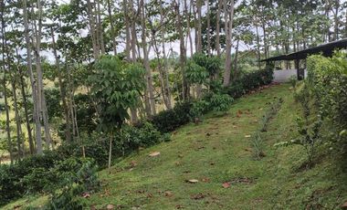 VENTA HERMOSA FINCA SECTOR LA CONCORDIA