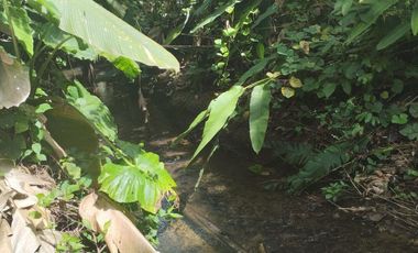 VENTA HERMOSA FINCA SECTOR LA CONCORDIA