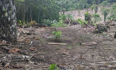 VENTA HERMOSA FINCA SECTOR LA CONCORDIA