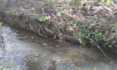 VENTA HERMOSA FINCA SECTOR LA CONCORDIA