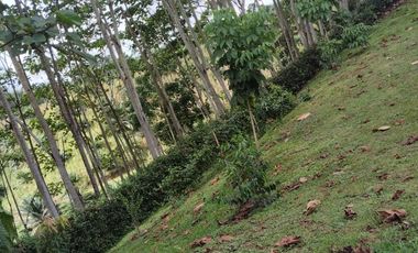 VENTA HERMOSA FINCA SECTOR LA CONCORDIA