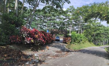 VENTA HERMOSA FINCA SECTOR LA CONCORDIA