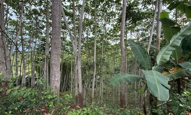 VENTA HERMOSA FINCA SECTOR LA CONCORDIA