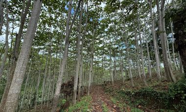 VENTA HERMOSA FINCA SECTOR LA CONCORDIA