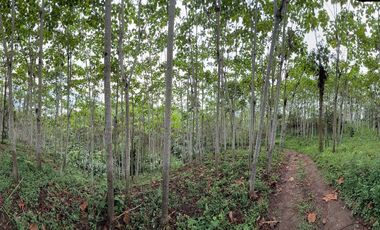 VENTA HERMOSA FINCA SECTOR LA CONCORDIA