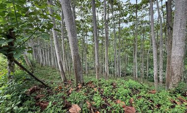 VENTA HERMOSA FINCA SECTOR LA CONCORDIA