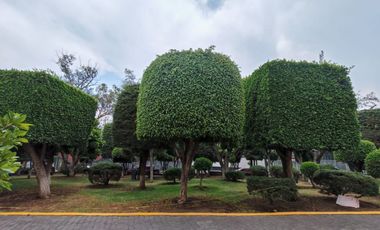 Venta Departamento en Residencial Belgravia (Planta Baja) - Col. Santa Ursula Xitla