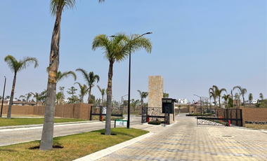 TERRENO EN VENTA EN PARQUE BERNA - LOMAS DE ANGELÓPOLIS 2