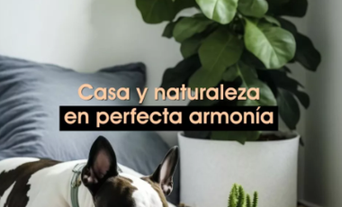 Casa en Venta en Tabachines, Villa de las Flores, Coacalco, Méx.