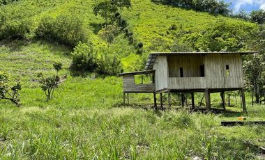 hacienda de venta en flavio alfaro manabi Y/T