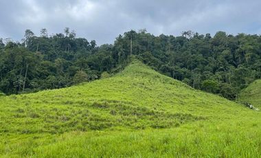 hacienda de venta en flavio alfaro manabi Y/T