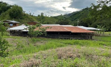 hacienda de venta en flavio alfaro manabi Y/T