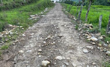 hacienda de venta en flavio alfaro manabi Y/T