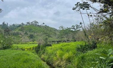 hacienda de venta en flavio alfaro manabi Y/T