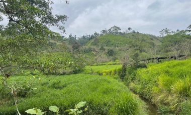 hacienda de venta en flavio alfaro manabi Y/T