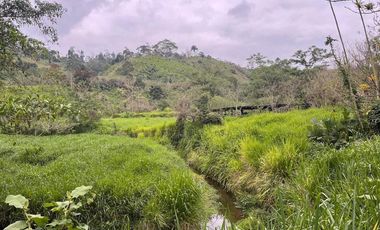 hacienda de venta en flavio alfaro manabi Y/T