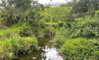 hacienda de venta en flavio alfaro manabi Y/T