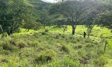 hacienda de venta en flavio alfaro manabi Y/T