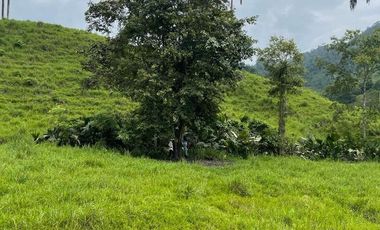 hacienda de venta en flavio alfaro manabi Y/T