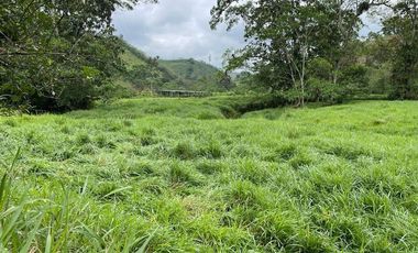 hacienda de venta en flavio alfaro manabi Y/T