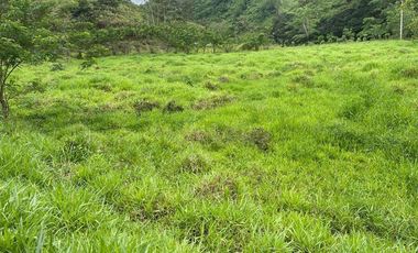 hacienda de venta en flavio alfaro manabi Y/T