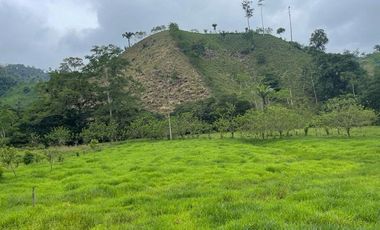 hacienda de venta en flavio alfaro manabi Y/T