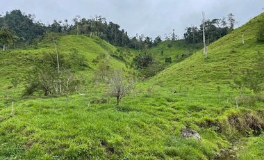 hacienda de venta en flavio alfaro manabi Y/T