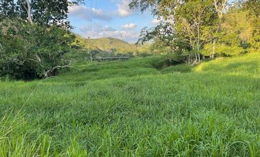 hacienda de venta en flavio alfaro manabi Y/T