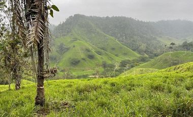 hacienda de venta en flavio alfaro manabi Y/T