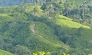 hacienda de venta en flavio alfaro manabi Y/T