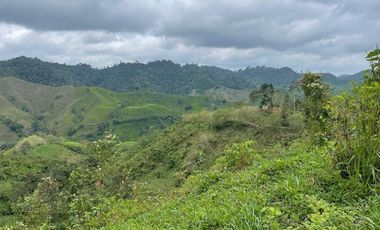 hacienda de venta en flavio alfaro manabi Y/T