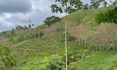 hacienda de venta en flavio alfaro manabi Y/T