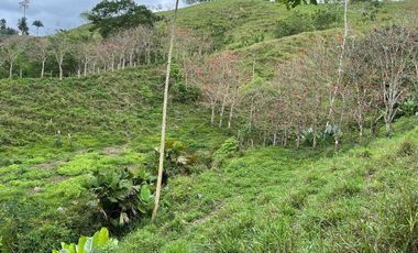 hacienda de venta en flavio alfaro manabi Y/T