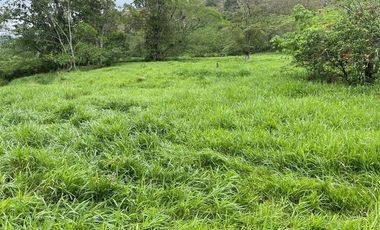 hacienda de venta en flavio alfaro manabi Y/T